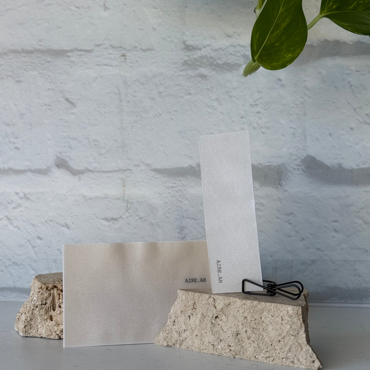 Paper Incense - SUNLIT WOODS