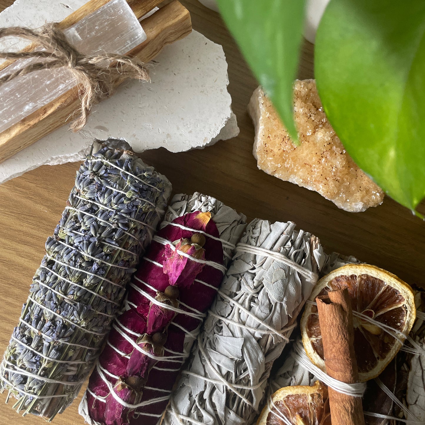 Sage || ASSORTED