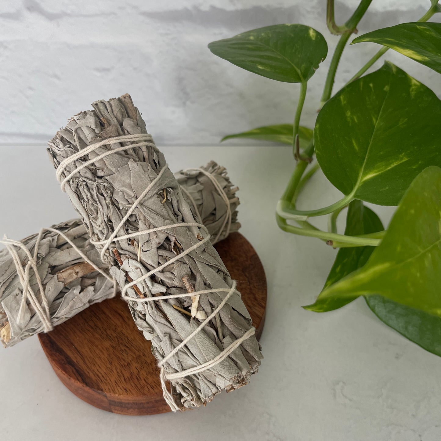 White Sage
