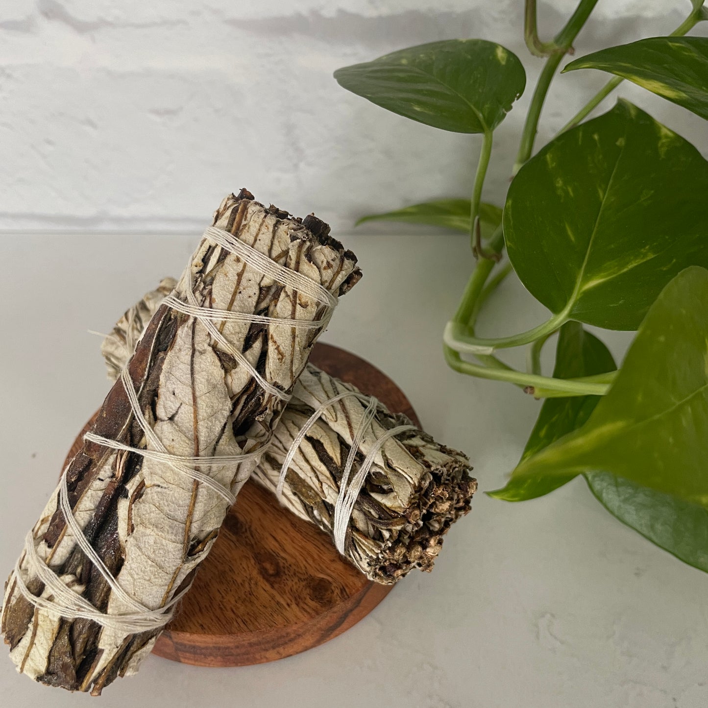 Yerba Santa